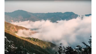 Sống núi Tà Xùa là địa hình đồi núi cao bao quanh thung lũng nên dễ thấy những biển mây kỳ ảo, bập bềnh trong nắng sớm.